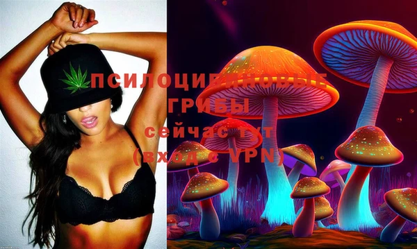 а пвп мука Аркадак