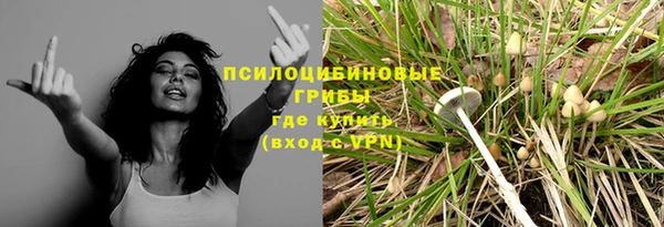 а пвп мука Аркадак