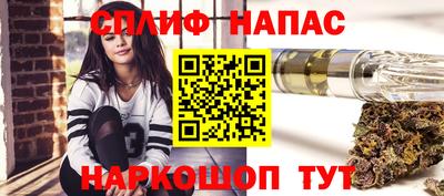 сатива Шебекино