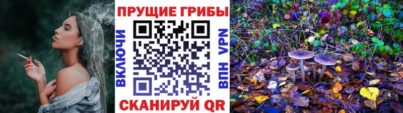 Псилоцибиновые грибы GOLDEN TEACHER Нижний Тагил