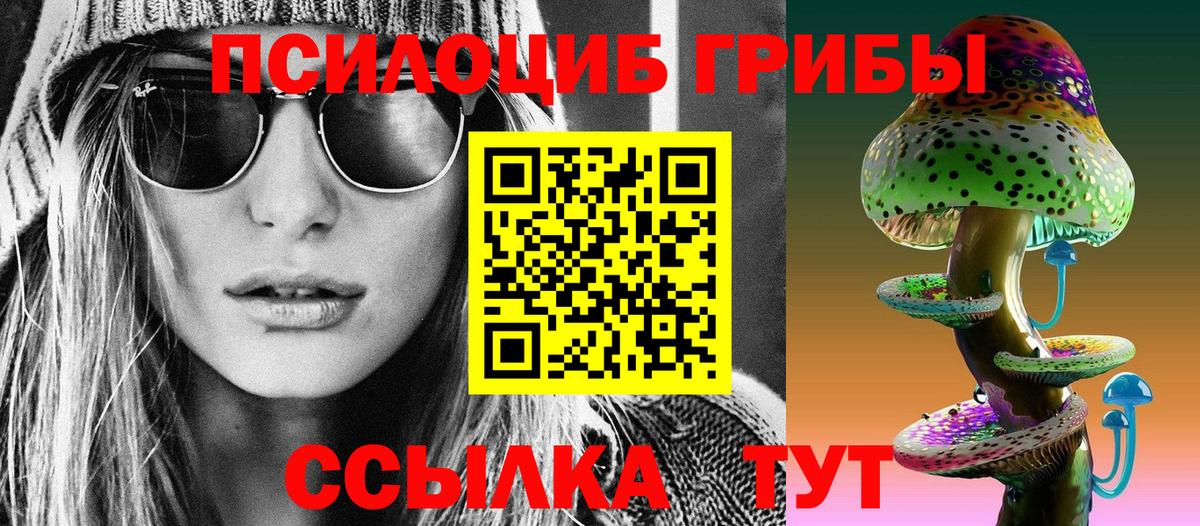 Галлюциногенные грибы Psilocybine cubensis Нижний Тагил