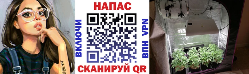 Бошки Шишки тримм  Нижний Тагил 