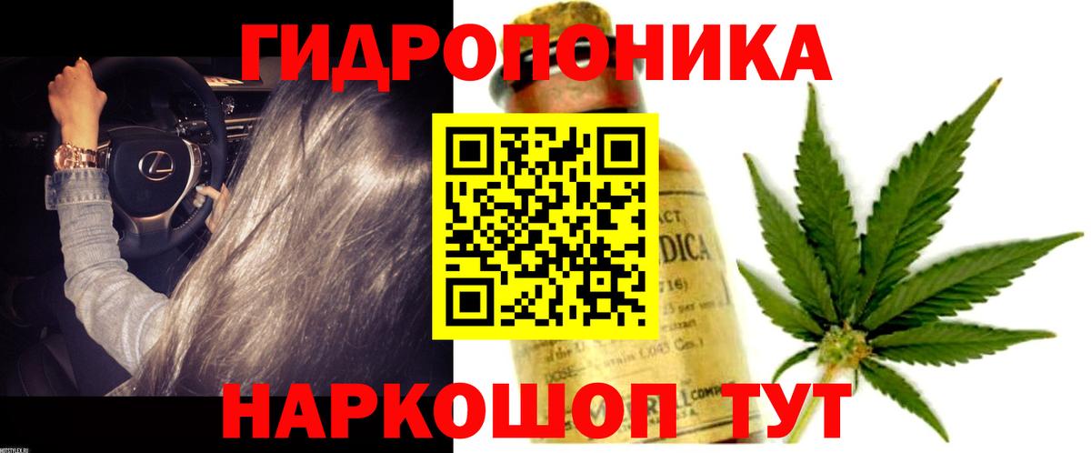 Шишки марихуана семена Нижний Тагил