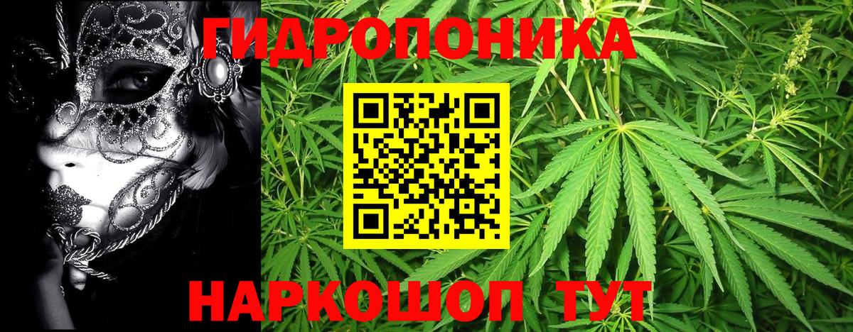 Бошки Шишки гибрид  Конопля White Widow  Бошки марихуана Bruce Banner  Вход с VPN  Нижний Тагил  Шишки марихуана ГИДРОПОН 